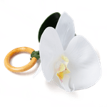 Porta Guardanapo Phalaenopsis Branca