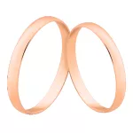 Alianças De Casamento Em Ouro