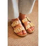 Papete Grécia Metal Fivela Dourado