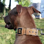  Coleira Para Cachorro Fit (areia) 
