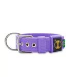 Coleira Para Cachorro Fit + Guia / Lilás 