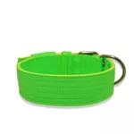 Coleira Para Cachorro Amorosso Verde Flúor e Amarelo Fluor