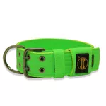 Coleira Para Cachorro Amorosso Verde Flúor e Amarelo Fluor