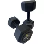 Dumbell Sx Injetado - Monobloco 24 Kg - Pegada Injetada