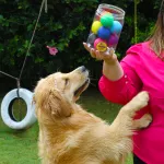 Pote 10 Bolas Porte Pequeno - Big Bull Pet