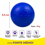 Pote 10 Bolas Porte Pequeno - Big Bull Pet