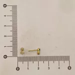 Brinco Infantil Estrela e Zircônia