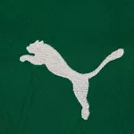 Camisa Puma Palmeiras HOME Torcedor 2025