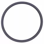 Anel de Vedação Cinza para Autoclave Cristófoli Vt 21l