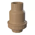 Válvula Retenção Rosca 1