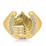 Anel de Ouro Masculino RJ 19mm