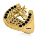Anel de Ouro Masculino RJ 19mm