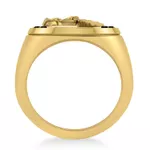 Anel de Ouro Masculino RJ 19mm