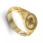 Anel de Ouro Masculino DF 10mm