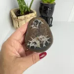 PEDRA SEPTARIA OU SEPTARIANA - PEÇA ÚNICA / COD 02