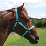 Cabresto para Cavalo Nylon Estampado Boots Horse 3906