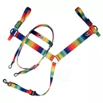Conjunto Cabeçada e Peiteira Boots Horse Arco Íris 5974