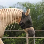 Máscara de Proteção para Cavalos Boots Horse Preta Tamanho-M 4890