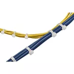 Cinta Abraçadeira de Nylon 100mm x 2,5mm (100 Unidades)