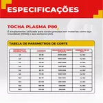 Tocha Plasma P80 5M Conexão M16 x 1,5mm 2 Pinos Ômega
