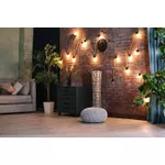 Avant Led Retrô Globo G125 4W 2200K