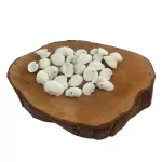 Conchas Marinha Mediterrânea Natural Branca C/ Furo 50un