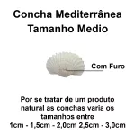 Conchas Marinha Mediterrânea Natural Branca C/ Furo 50un