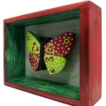 Borboleta na caixa