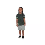 Bermuda Fakini Infantil Masculina 4 ao 10 Cinza