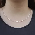 Choker Corrente Pérolas 4mm Banho de Ouro 18K