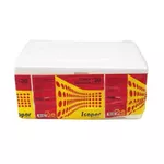 Caixa de EPS (Isopor) Lazer 30L c/3 und