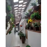 TELHA ACRÍLICA PLAN TELHAS BONSUCESSO