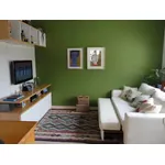 TINTA ECONÔMICA IPANEMA VERDE MUSGO 18 LTS 150026 ACRILPLUS