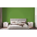 TINTA ECONÔMICA IPANEMA VERDE MUSGO 18 LTS 150026 ACRILPLUS