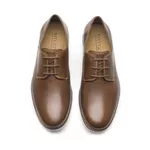 Sapato Masculino Derby Conhaque Auckland