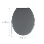 Assento Sanitário Oval Almofadado Astra Cinza 1