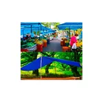 Lona de Polietileno Azul 5 x 3m 100 Micras Nove54 6169053000