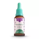 Floral de bach - Floral Thérapi Setechakras energia do chakras 30ml