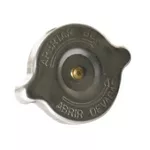 Tampa Radiador GM D10 D70 F100 F350 a F22000 7 Libras TC7006F