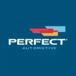 Bandeja Suspensão Diant Esquerda Van Renault Master 2.5 2002 até 2012 BDJ0867 Perfect