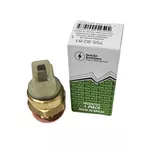 Interruptor Térmico Cebolão do Radiador VW Gol,Parati,Saveiro S/ACD MTE 755.92/81°