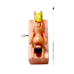 Boneco de Corda 69 Wind-up Action SI (5728) - Padrão