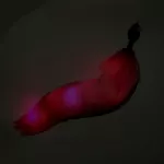 Plug Silicone Cauda Articulada Com Led Luxo VP (PL080-ST622) - Rosa