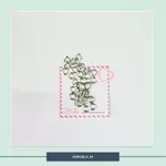 Arruela 54