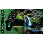 Sapatilha Aquática Esporte Náutico Neoprene Verde