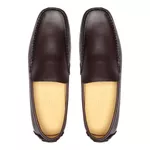 Sapato Casual Masculino Drive Gallant Café Valentus