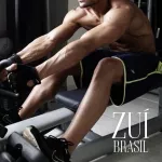 Barra Triângulo Puxador Musculação Remada Peso Academia Zuí Brasil