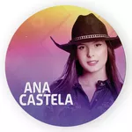 Capa Painel Redondo Decorativo Tema Ana Castela Decoração Festiva Musica