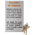 Trouxinha da Limpeza 