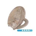 Assento Convencional Almofadado TPKM Bege BG-MM - ASTRA